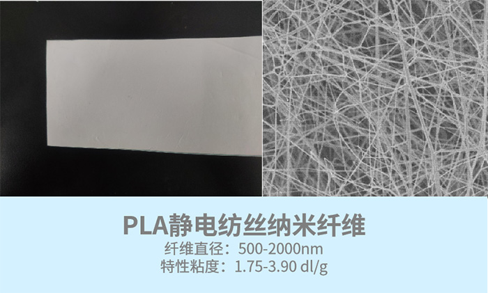 PLA靜電紡絲纖維.jpg