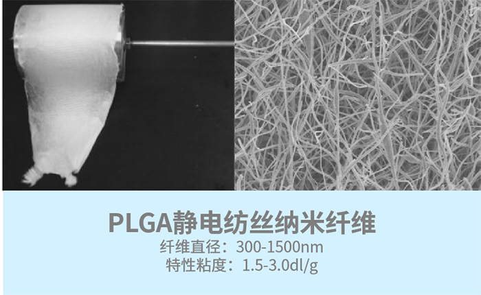 PLGA靜電紡絲纖維.jpg