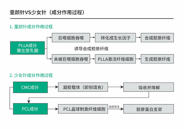 PLA/PCL針劑