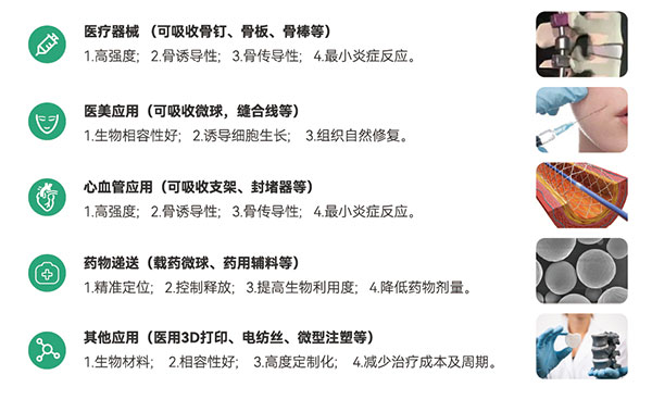 深圳聚生3 深圳聚生3
